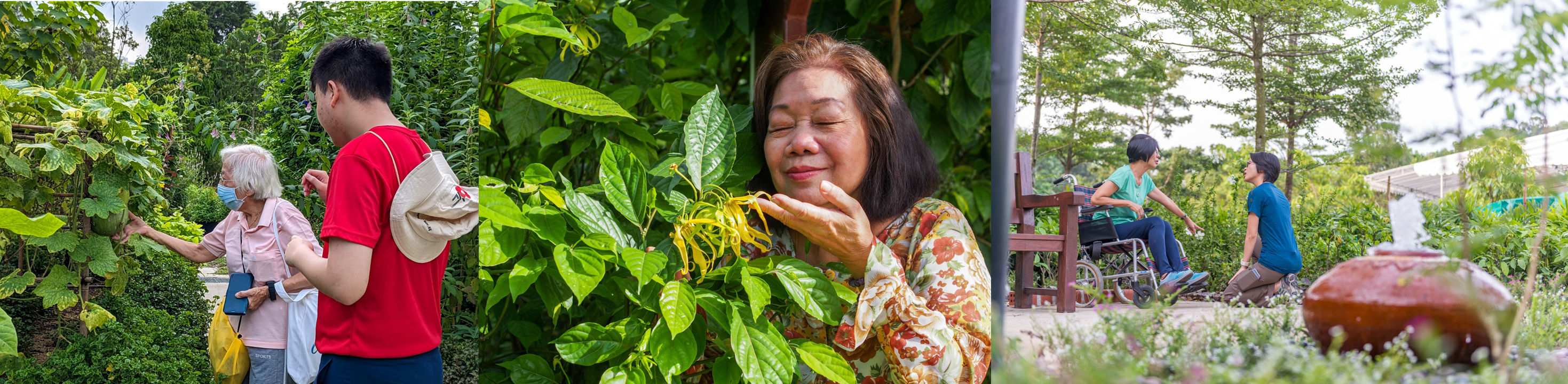 Therapeutic garden features